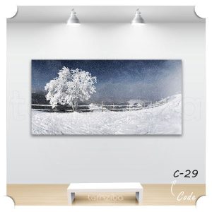 تابلو تزیینی برف در دشت زیبا (C-29) - خرید تابلو شاسی