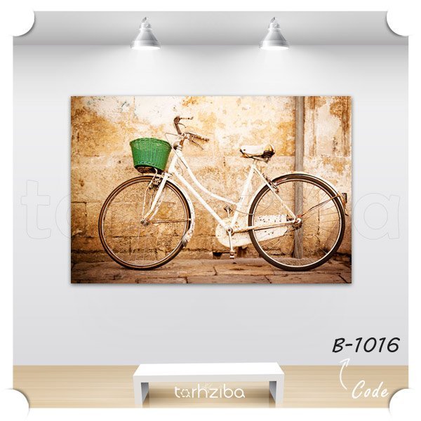 تابلو عکس هنری دوچرخه گلفروش (B-1016) - خرید تابلو شاسی