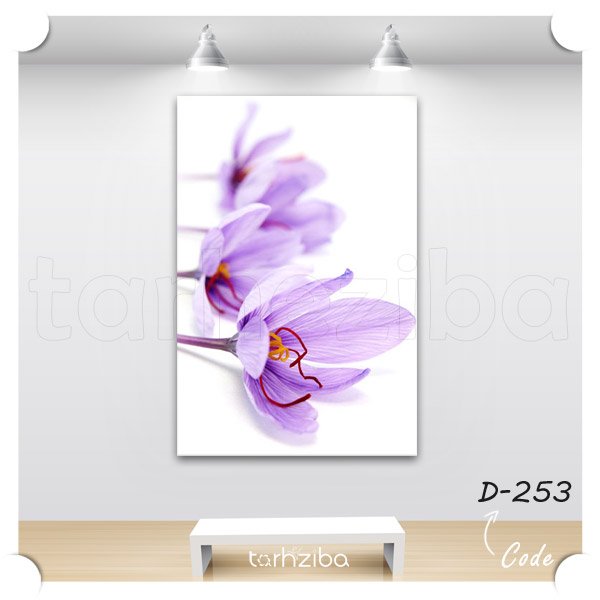 تابلو عکس مدرن گل زعفران (D-253) - خرید تابلو شاسی