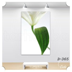 تابلو عکس گل سوسن سفید (D-365) - خرید تابلو شاسی