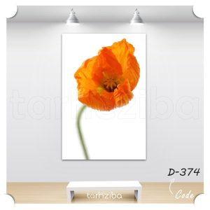 تابلو عکس گل شقایق نارنجی (D-374) - خرید تابلو شاسی