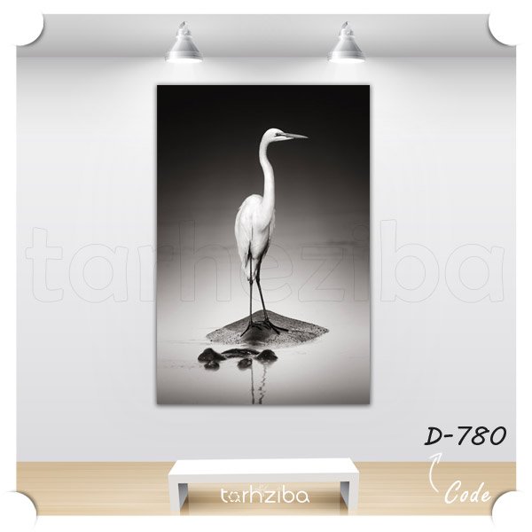 تابلو عکس حیوانات و پرندگان (D-780) - خرید تابلو شاسی