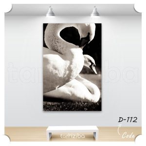 تابلو عکس حیوانات و پرندگان (D-112) - خرید تابلو شاسی