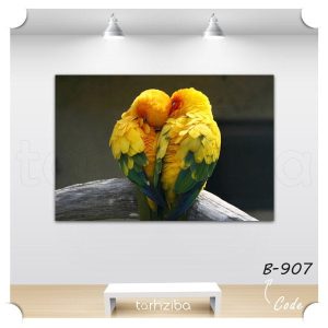 تابلو عاشقانه پرندگان رمانتیک (B-907) - خرید تابلو شاسی