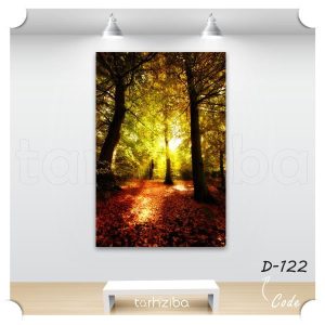 تابلو منظره روزنه نور در جنگل (D-122) - خرید تابلو شاسی