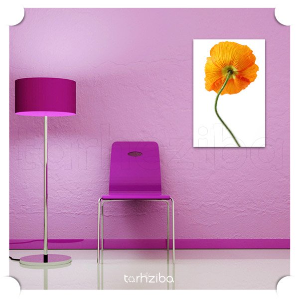 تابلو مدرن گل شقایق نارنجی (D-373) - خرید تابلو شاسی