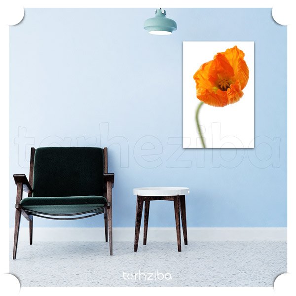 تابلو عکس گل شقایق نارنجی (D-374) - خرید تابلو شاسی