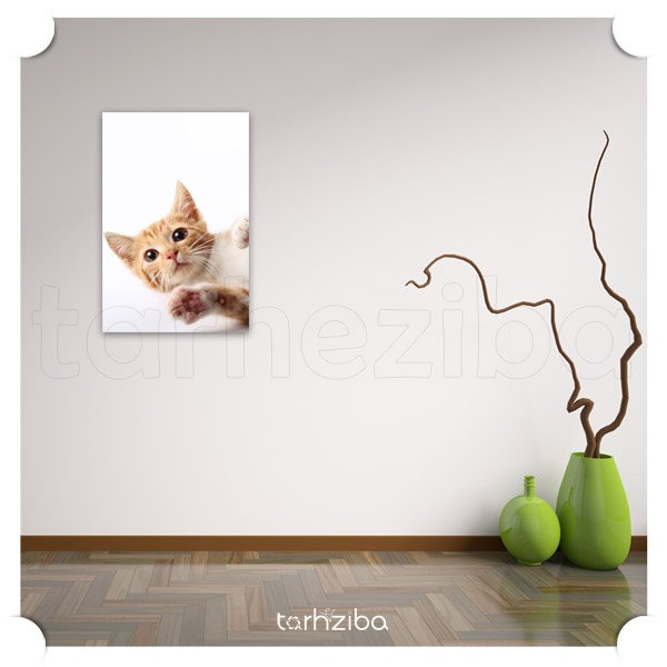 تابلو عکس پرتره گربه