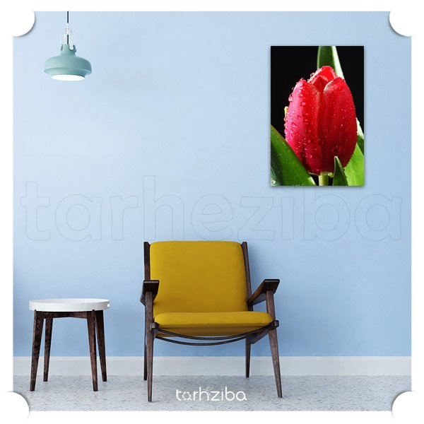 تابلو مدرن گل لاله سرخ (D-887) - خرید تابلو شاسی