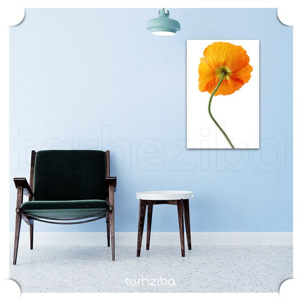 تابلو مدرن گل شقایق نارنجی (D-373) - خرید تابلو شاسی